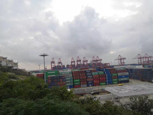 上海港危險(xiǎn)品貨代危險(xiǎn)品國(guó)際物流流程